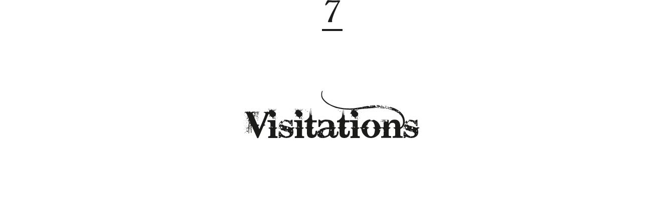 7. Visitations