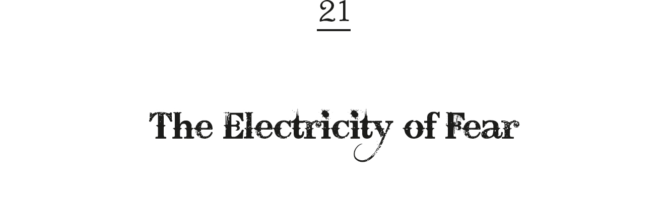 21. The Electricity of Fear