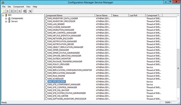 A screenshot shows Configuration Manager Service Manager dialog box.