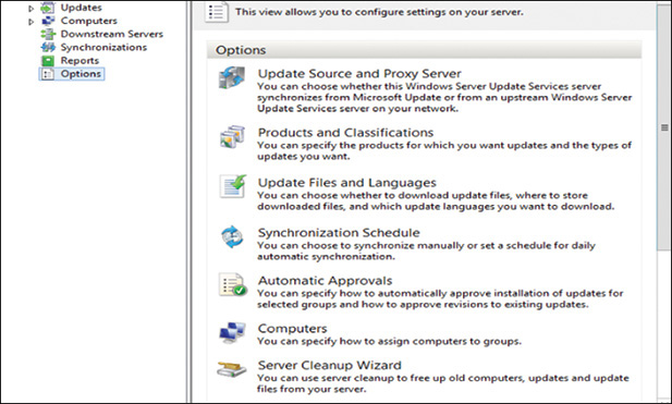 A screenshot shows the Windows Server Update Services console.