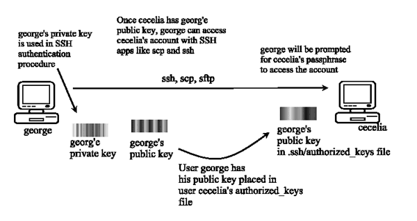 FIG13-1