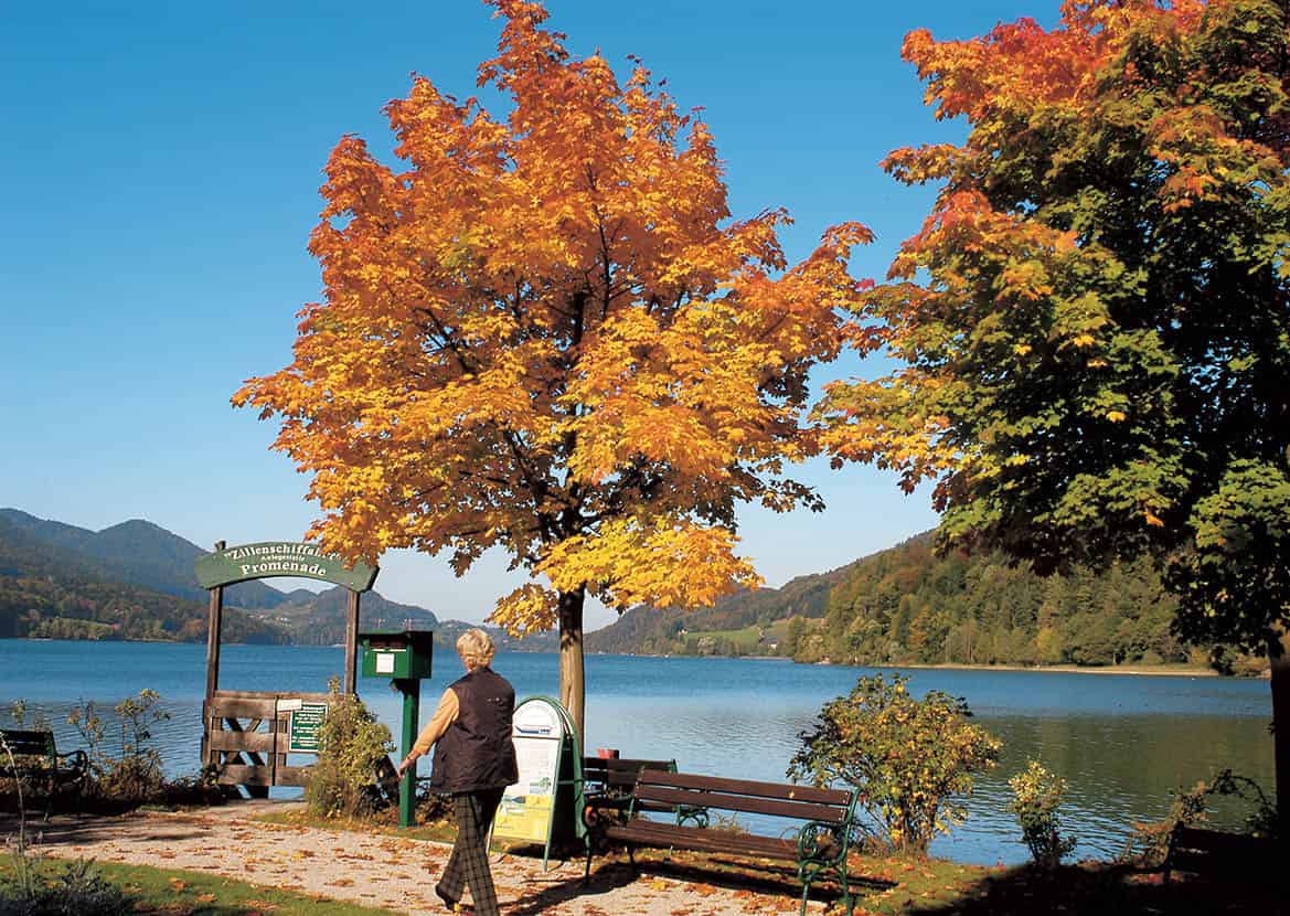 Salzkammergut_Fuschlsee_4_Salzburg_EC.jpg