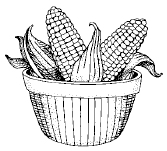 116_CornOnTheCob.tif