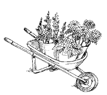 155_FFM_wheelbarrow.tif