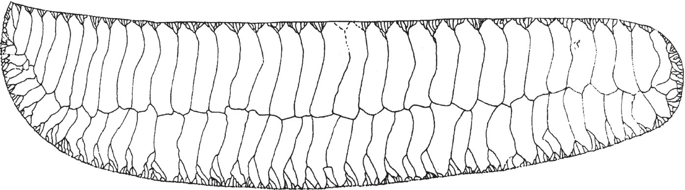 c4-fig-0004