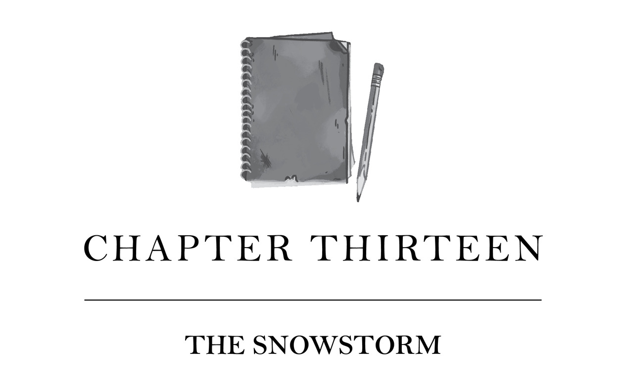 Chapter Thirteen The Snowstorm