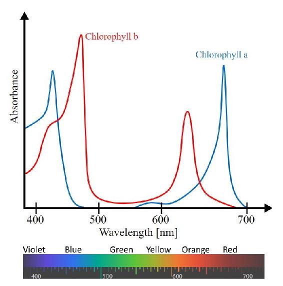 Chart, histogram  Description automatically generated