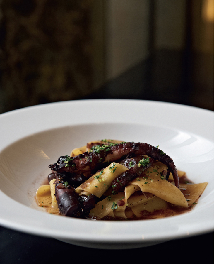 close up color image of a tasty looking bowl of OCTOPUS BRAISED IN RED WINE TOMATO and OLIVES WITH SAFFRON PAPPARDELLE