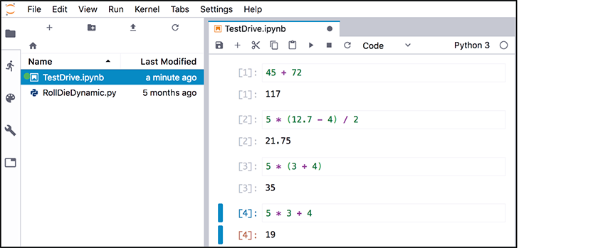 A screen shot shows the answer in a window to the right with highlighted lines at the bottom of the screen showing one line with 5 times 3 plus t and last line with 19.