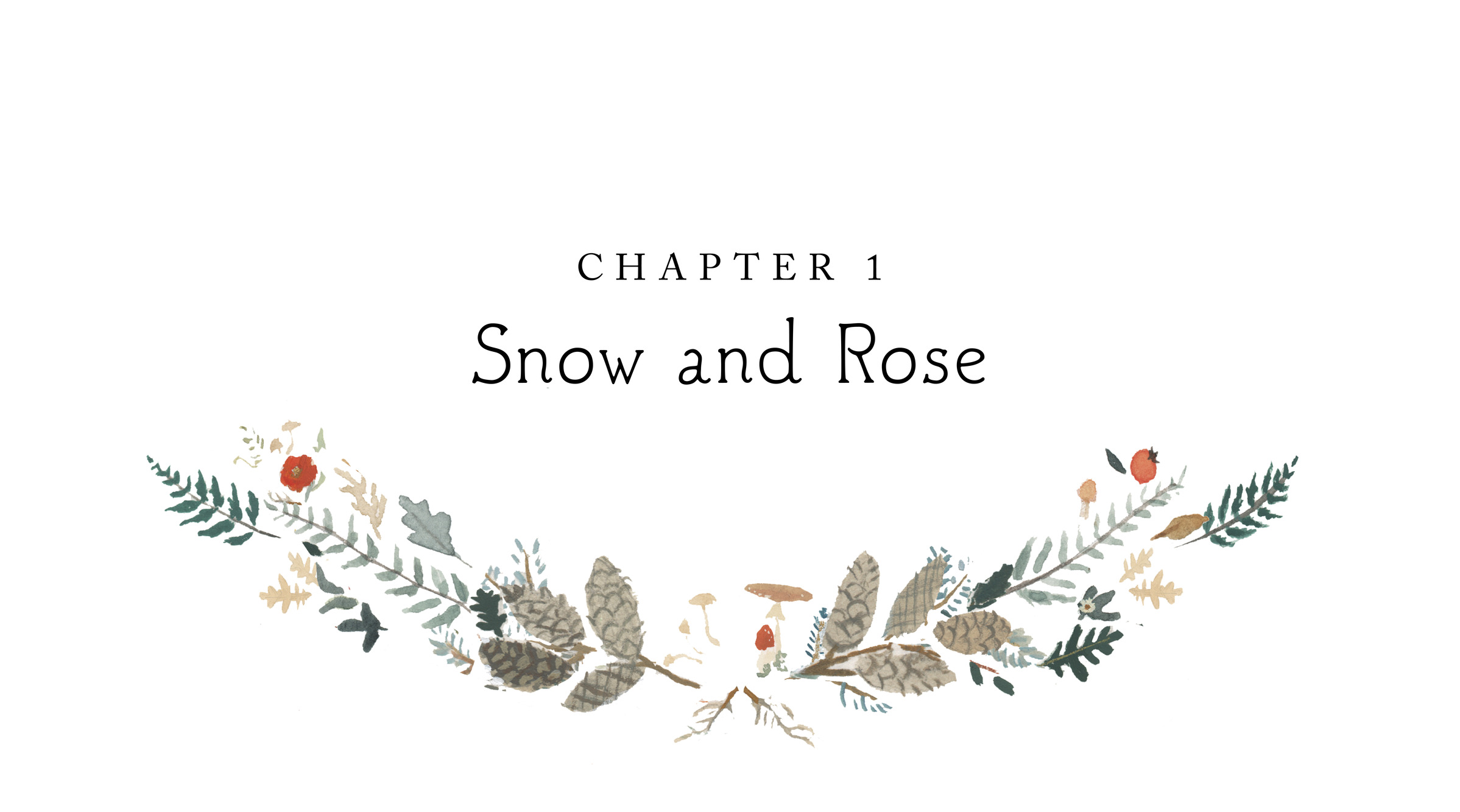 Chapter 1 Snow and Rose