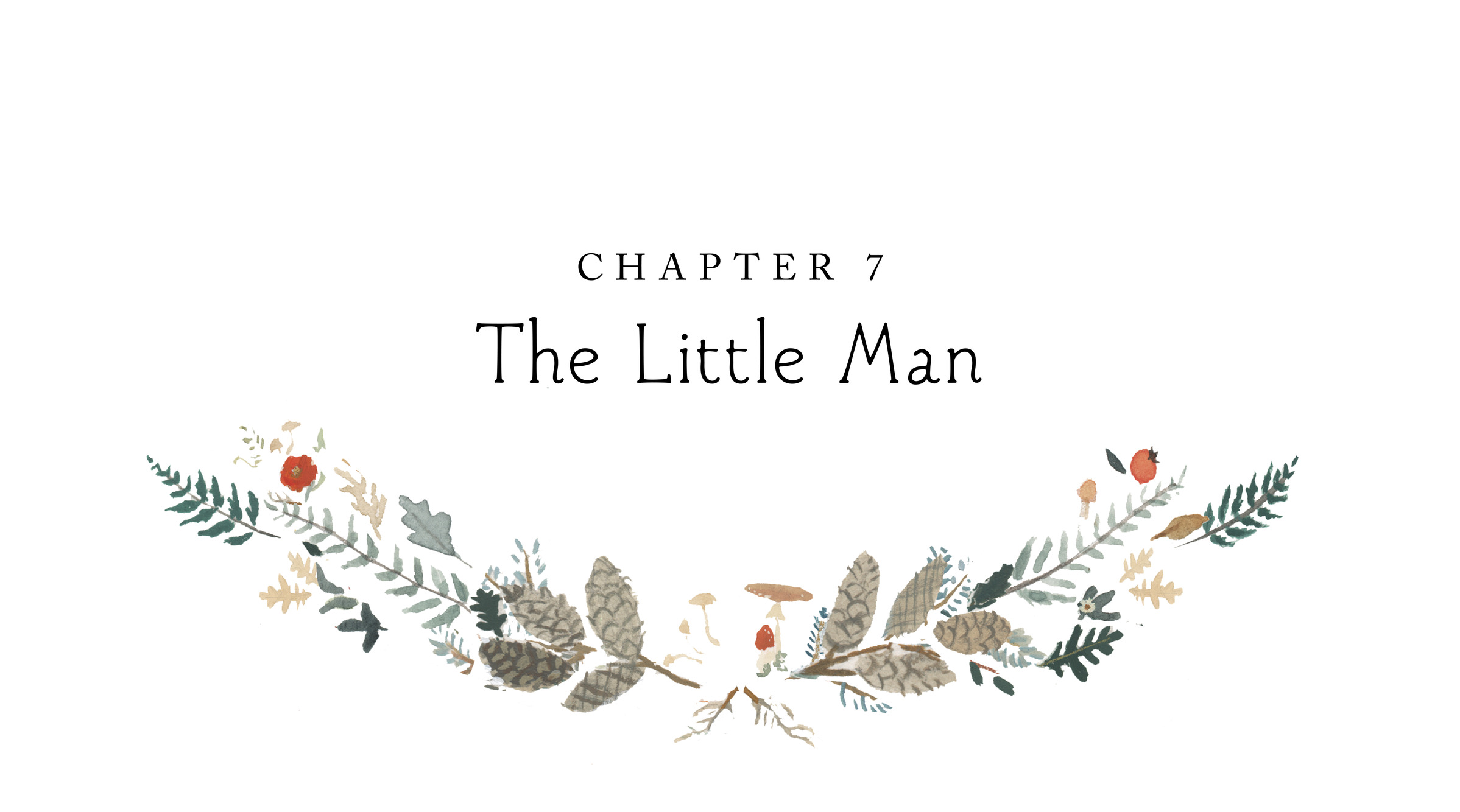 Chapter 7 The Little Man