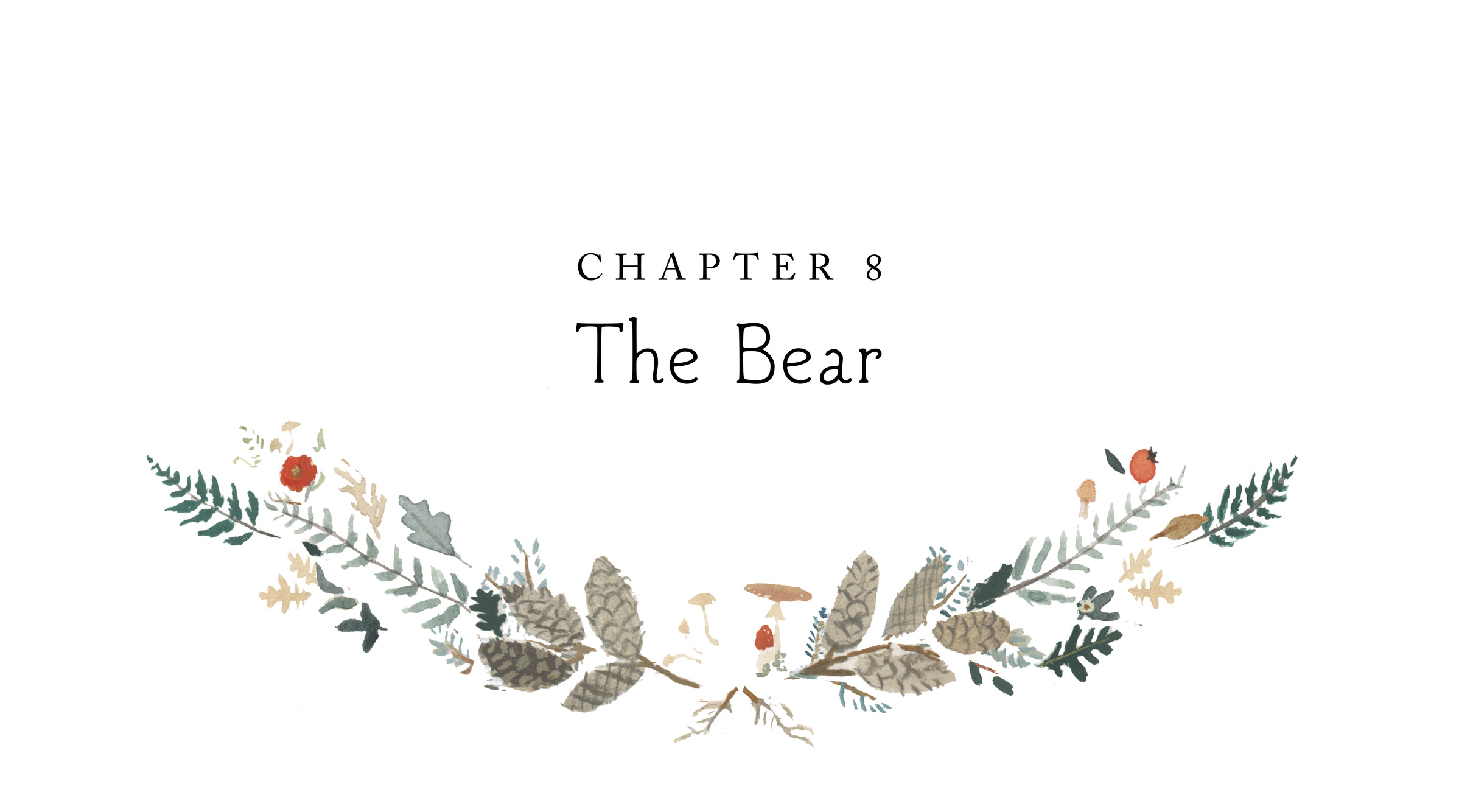 Chapter 8 The Bear