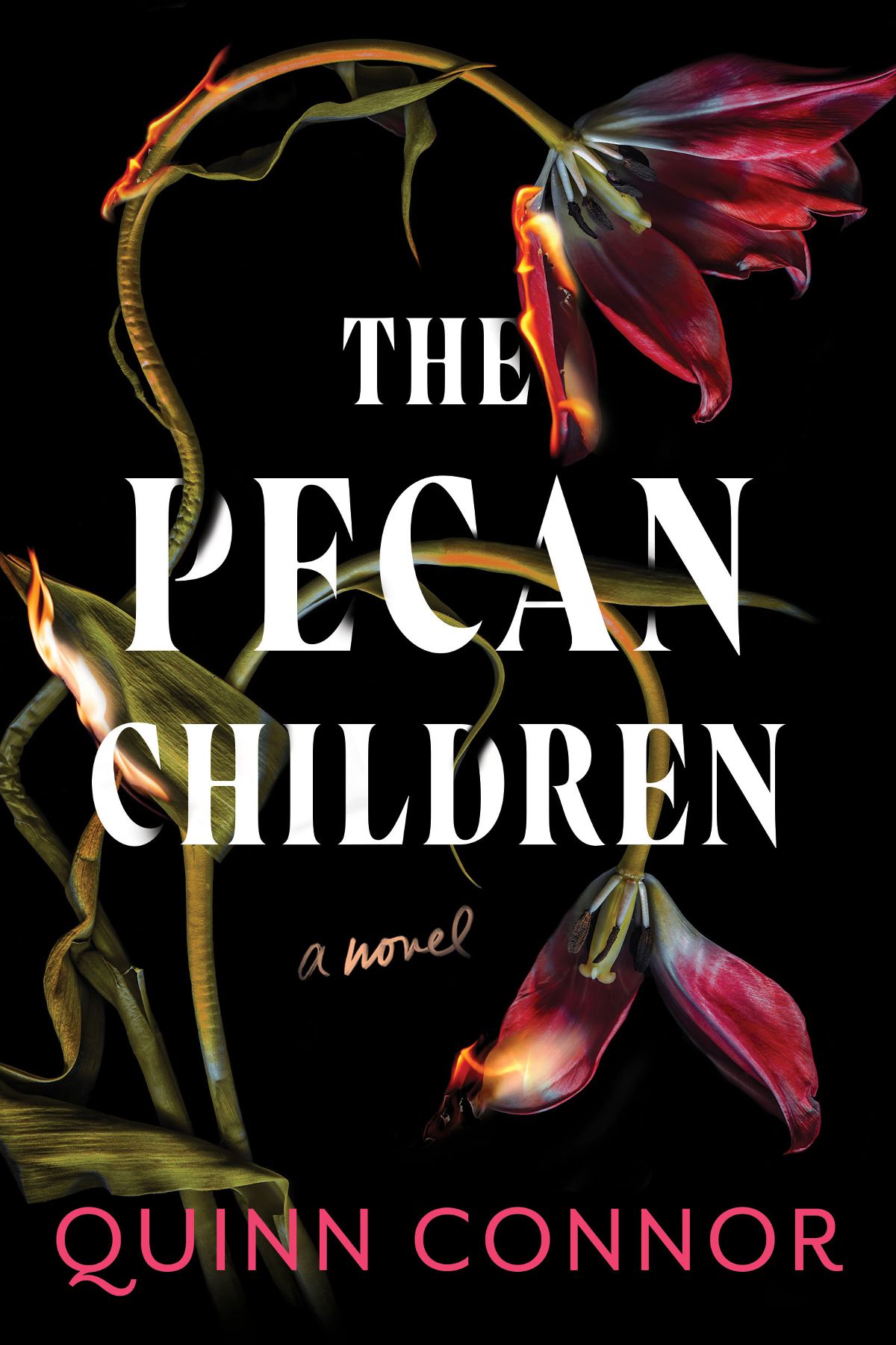 Front cover for The Pecan Children by, Quinn Connor. Background includes two flowers with long stems and leaves. One leaf is on fire.