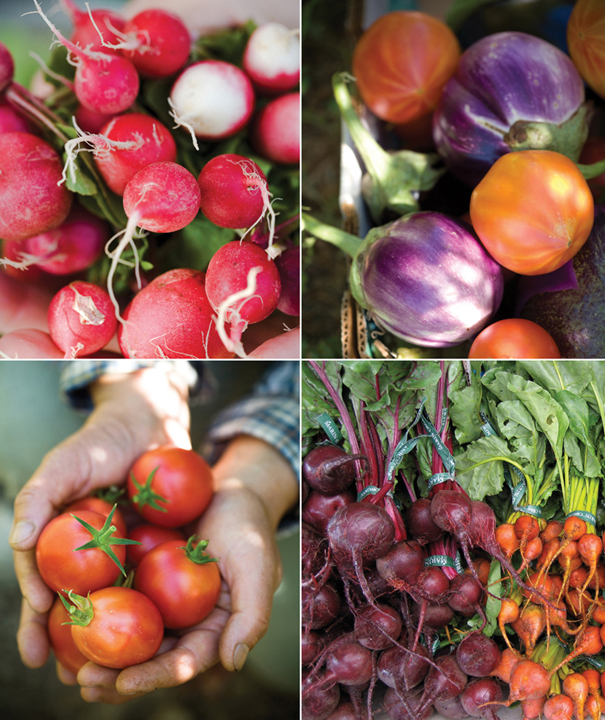 Radishes, tomatoes, and beets