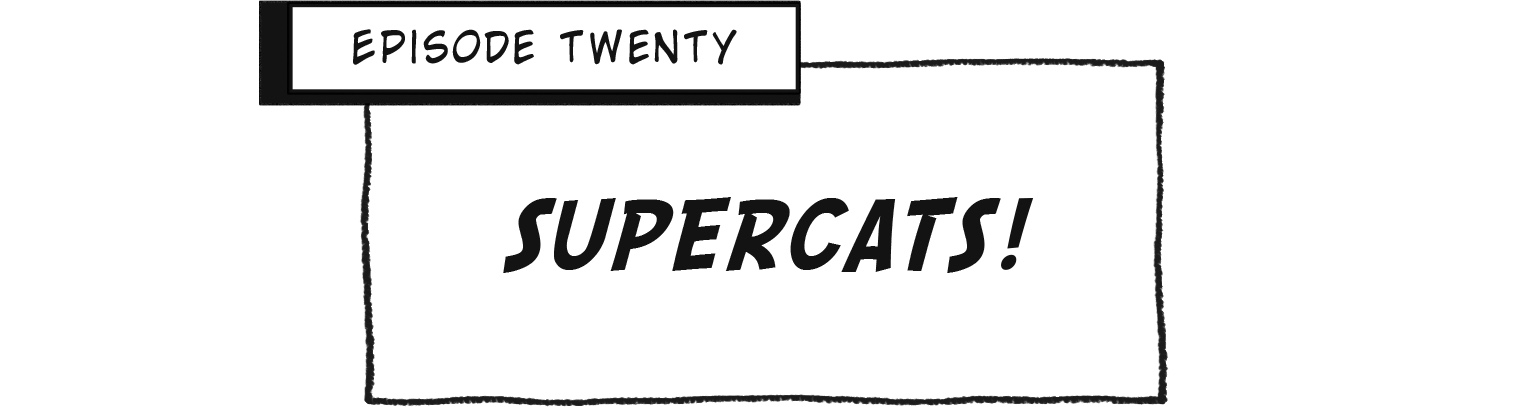 Episode Twenty: SUPERCATS!