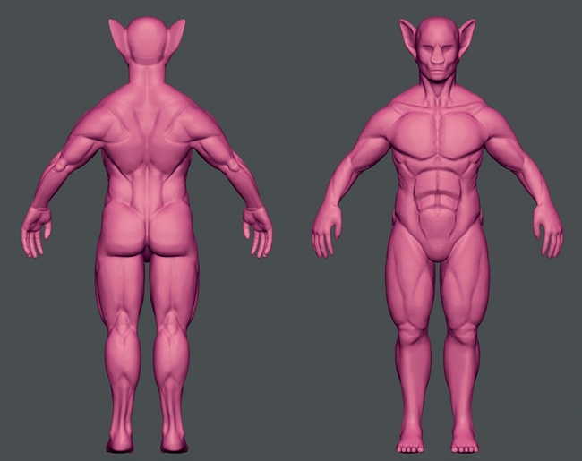 Defining the anatomy further. References are important at this stage, though there is room for invention as well.