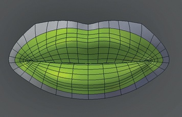 The mouth. Note at the corners of the mouth that the edge loops on the surface of the lips bunch up and flow around inside the mouth. Try to keep the same edge or face loop flowing around the outline of both the upper and lower lips. The easiest way to do this is to start with this edge loop and work inward.