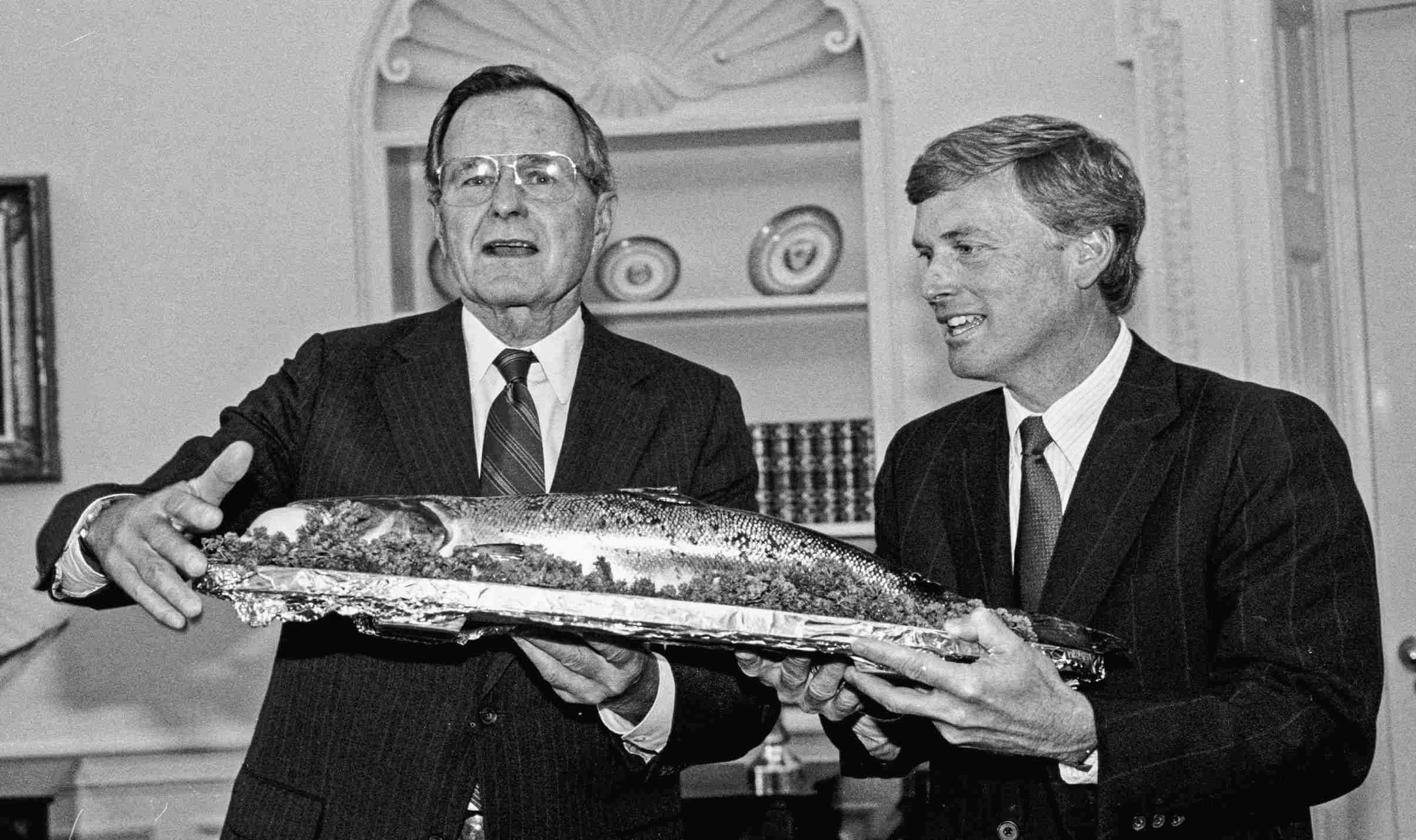 FILE - In this June 21, 1990 file photo, President George H.W. Bush, left, and Vice President Dan Quayle display for photographers the first salmon caught in Maine during that year's fishing season at the White House Oval Office in Washington. The 7 pound, 28 1/2 inch fish was caught in the Penobscot River in Maine. Just 20 years ago, the first salmon pulled from the Penobscot River each season was sent to the White House. Now Atlantic salmon have virtually disappeared, and are off limits to fishing. Environmentalists hope a dam removal that starts Monday, opening miles of river to migrating fish, will help efforts to restore endangered salmon.  (AP Photo/Barry Thumma, File)