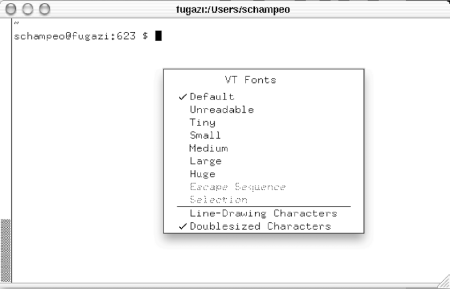 xterm's VT Fonts menu lets you change fonts dynamically