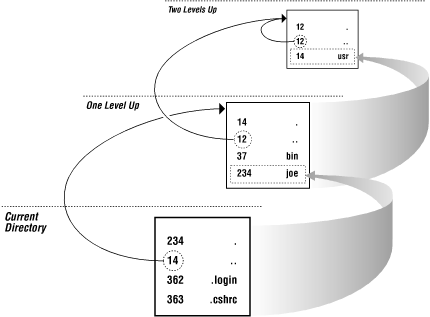 Finding the current directory name