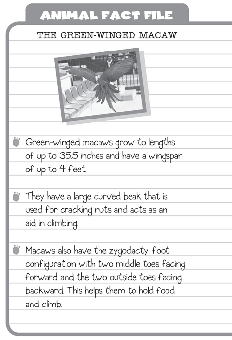 Factfile_Page_4.jpg