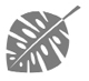 small_leaf.tif