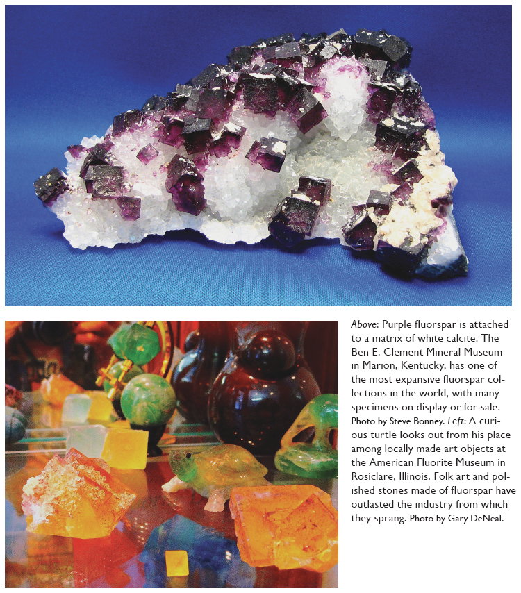 Image: Above: Purple fluorspar is attached to a matrix of white calcite. The Ben E. Clement Mineral Museum in Marion, Kentucky, has one of the most expansive fluorspar collections in the world, with many specimens on display or for sale. Photo by Steve Bonney. Left: A curious turtle looks out from his place among locally made art objects at the American Fluorite Museum in Rosiclare, Illinois. Folk art and polished stones made of fluorspar have outlasted the industry from which they sprang. Photo by Gary DeNeal.