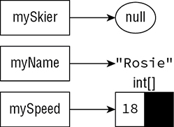 Chart shows variables like mySkier, myName, and mySpeed, where mySkier is connected to null, myName is connected to “Rosie”, and mySpeed is connected to int[] block numbered as 18.