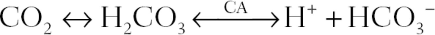 Guimaraes-ch010-unequat002