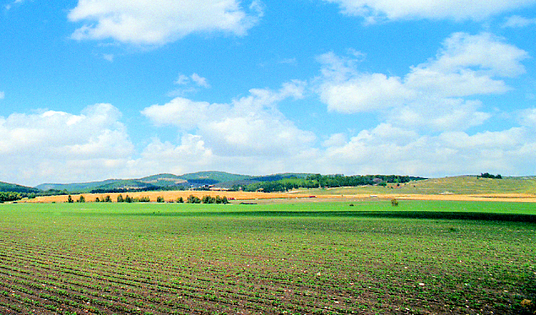 Valley of Elah