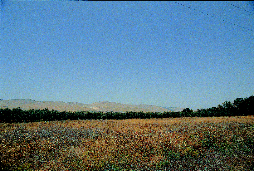 Mount Gilboa