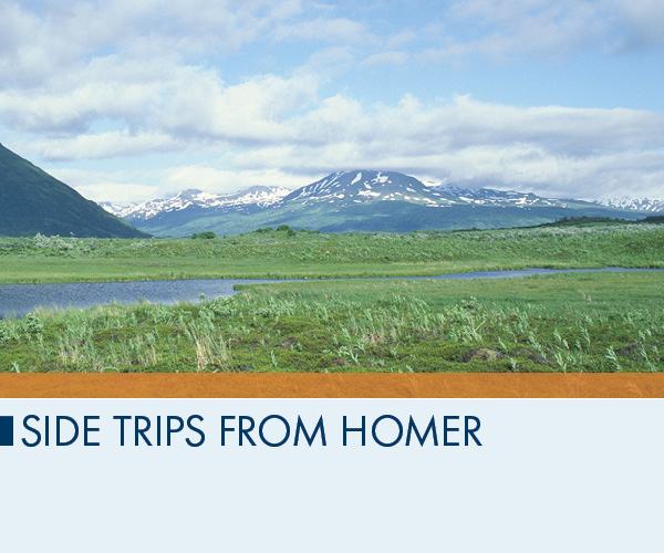 Side Trips from Homer