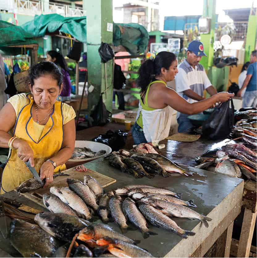 GettyImages-543787276_Colombia_EC.jpg