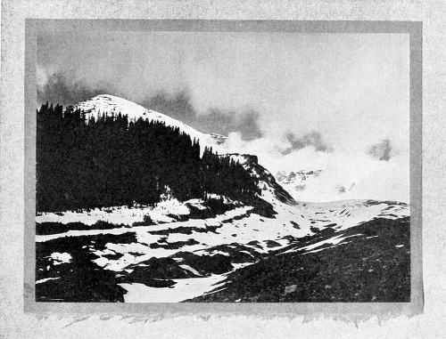 Taken in the Rainier National Park. From a Photograph Copyright, 1908, by W. L. Dawson. A GLIMPSE OF MT. RAINIER FROM THE NISQUALLY GLACIER. A FAVORITE HAUNT OF THE HEPBURN LEUCOSTICTE.