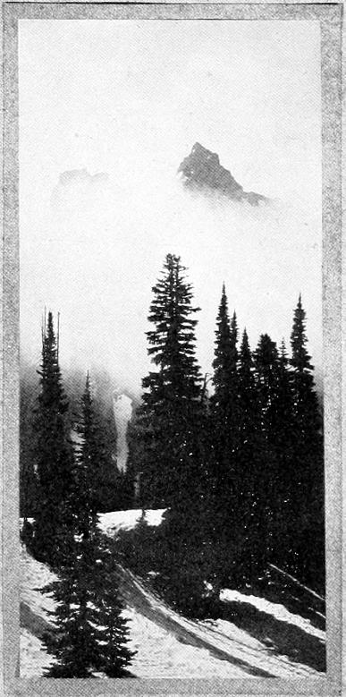 Taken in Rainier National Park. From a Photograph Copyright, 1908, by W. L. Dawson. A MORNING IN PARADISE.