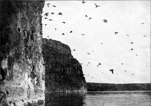 Taken in Douglas County. Photo by the Author. THE CLIFF DWELLERS.