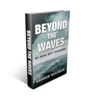 Beyond the vWaves Book cover 3D.png