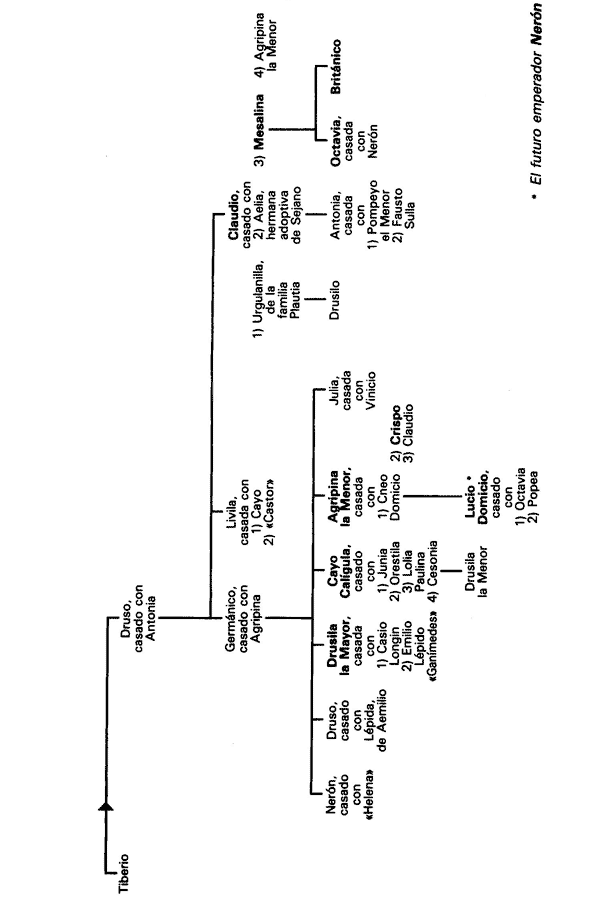 arbol2