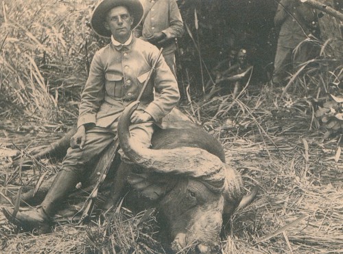 Karl Ernst Göring lehnt in der Savanne an einem erlegten Schwarzbüffel.