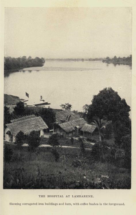 THE HOSPITAL AT LAMBARENE. Showing corrugated iron buildings and huts, with coffee bushes in the foreground.