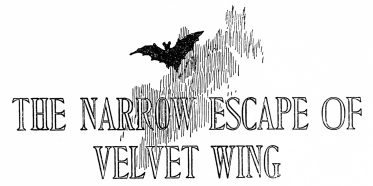 THE NARROW ESCAPE OF VELVET WING