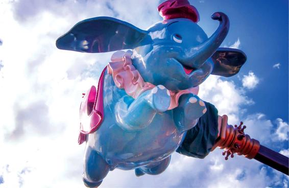 TOC-Dumbo.tif