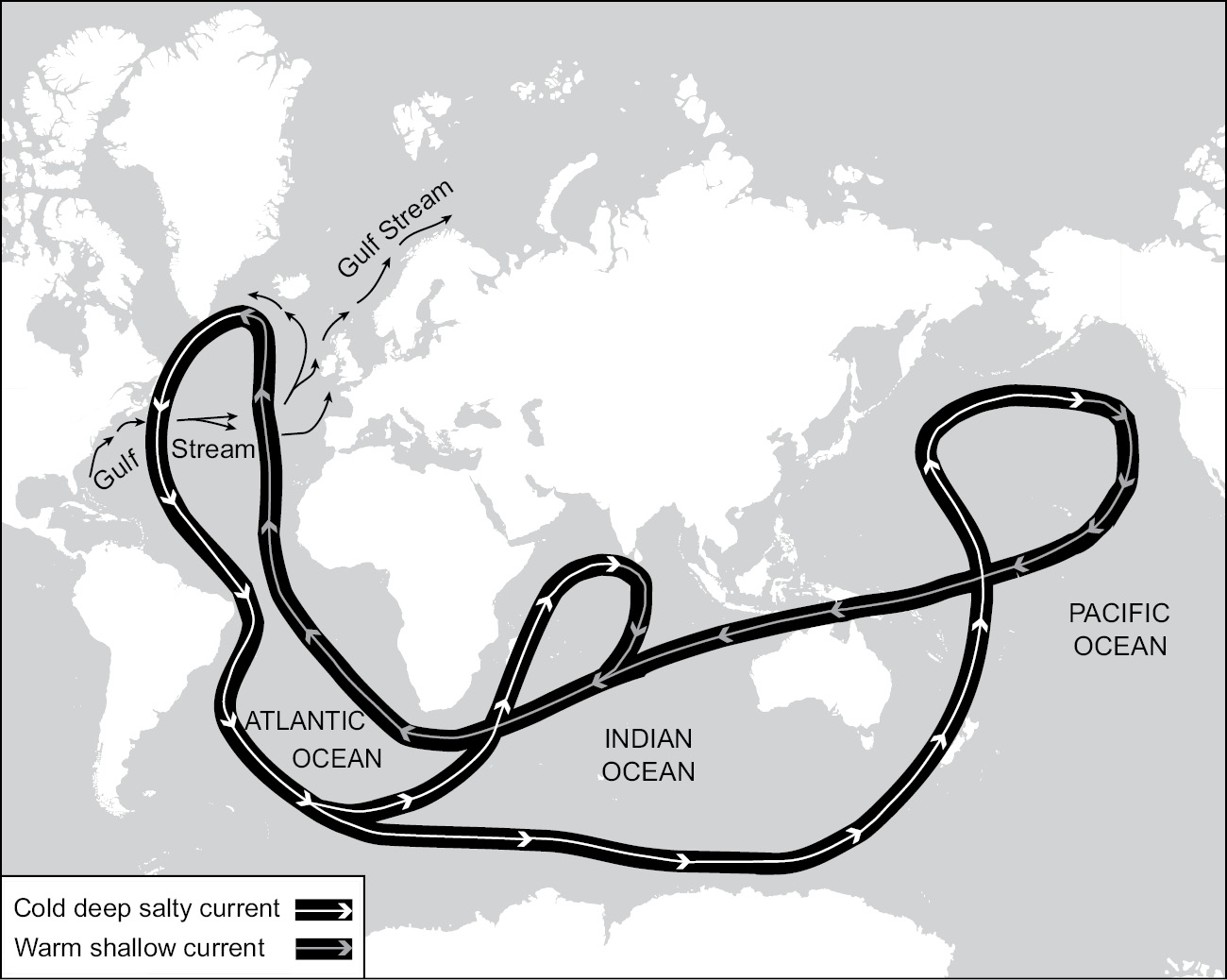 A map illustrating the currents produced by the process of thermohaline circulation.