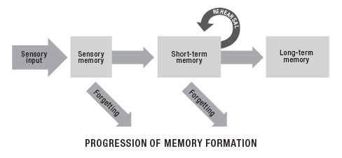 9781440597077 Memory Formation