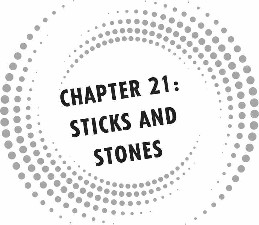 CHAPTER 21: STICKS AND STONES