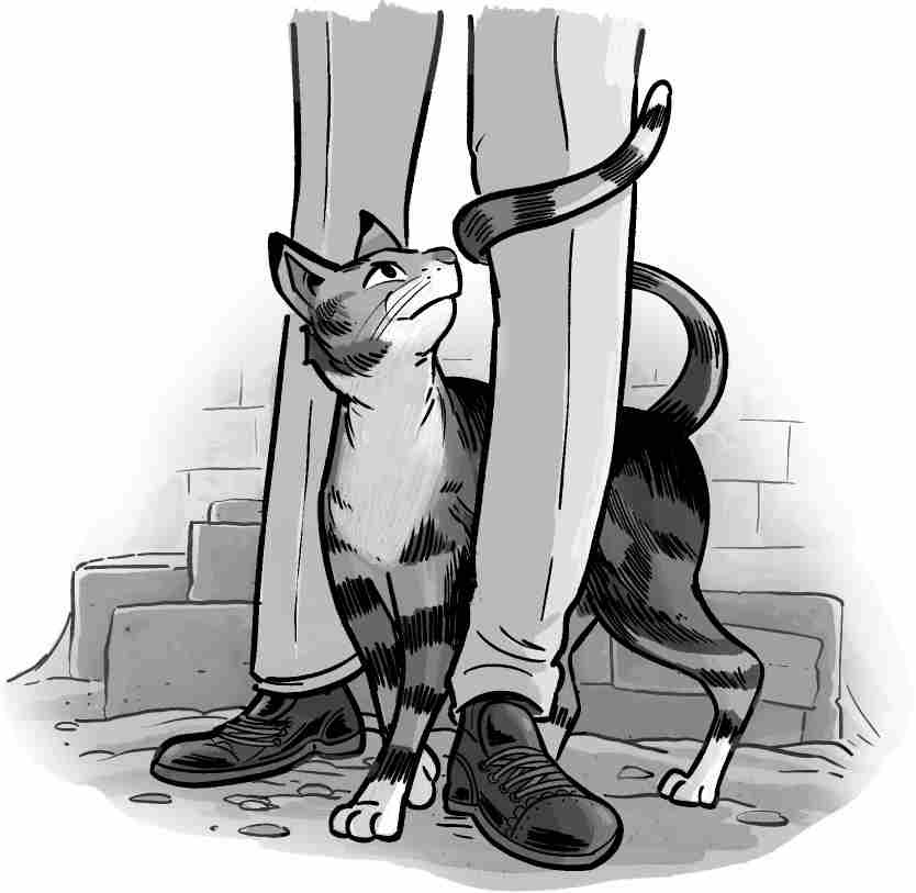 Bast twines her tail around Professor Gladstone's leg.