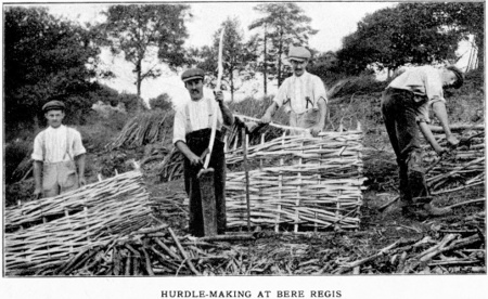 HURDLE-MAKING AT BERE REGIS