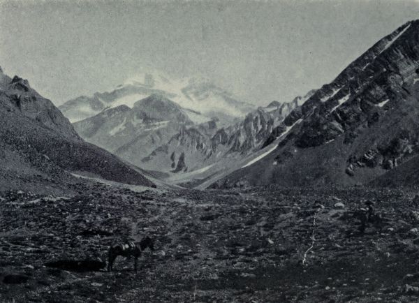 aconcagua