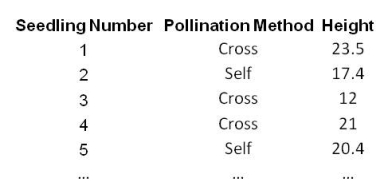 C:\Users\Lee\Google Drive\CSI Staff Folder\Websites\CSI Website\CSI eBooks\Bite-Size Stats Series\1. Introduction to Associations and Correlations\Edition 3\Data + Images\Data - Pollination (labelled).jpg