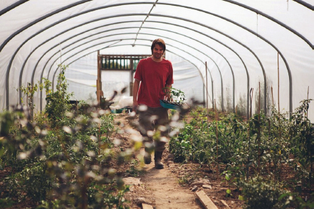 Chris Fowler of Dragon Chilli Farm, in his polytunnel.